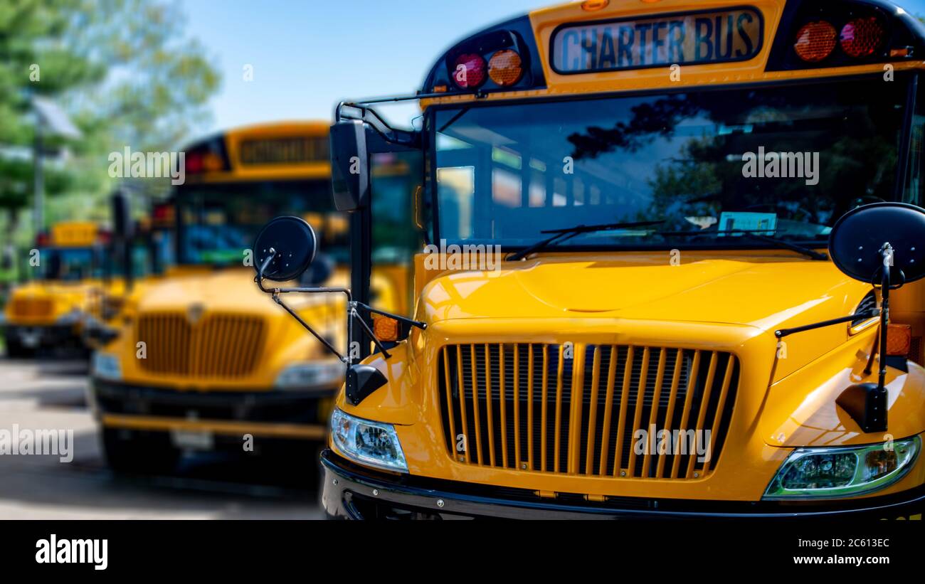 View of the front end of yellow school busses parked in a row with windshields, grills and headlights visible with shallow range of focus putting dist Stock Photo