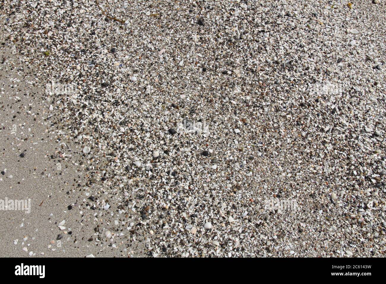 Beach sand with shell pieces - sandy coast in Norway. Background texture. Stock Photo