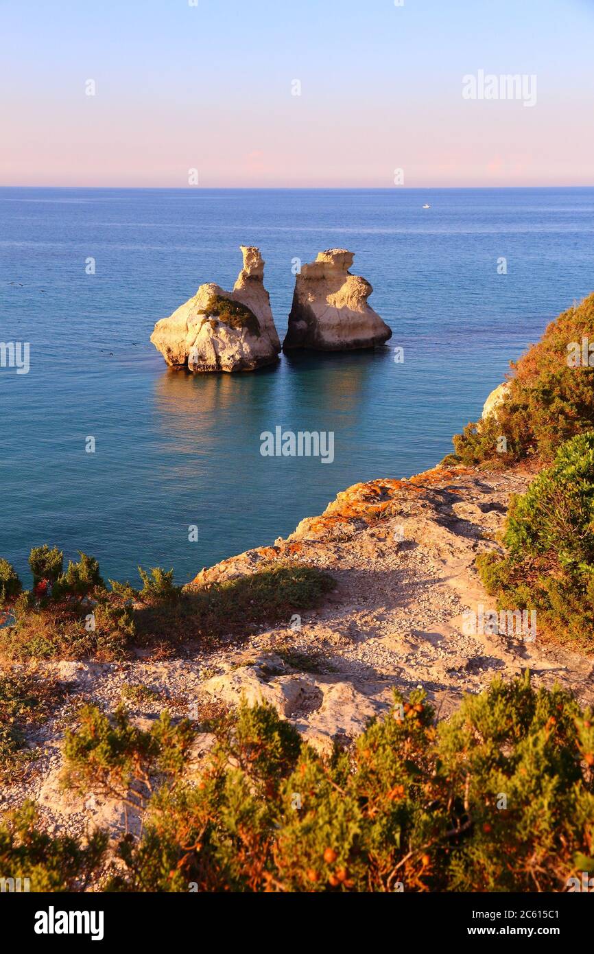 Pittura dell'orso immagini e fotografie stock ad alta risoluzione - Alamy