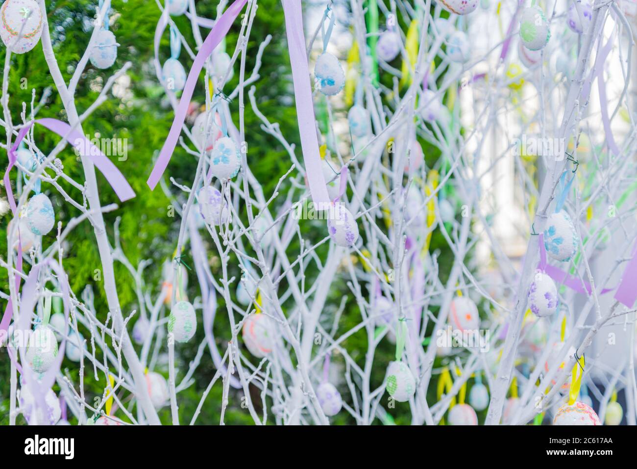 easter eggs hanging on white tree branches, colorful background Stock Photo