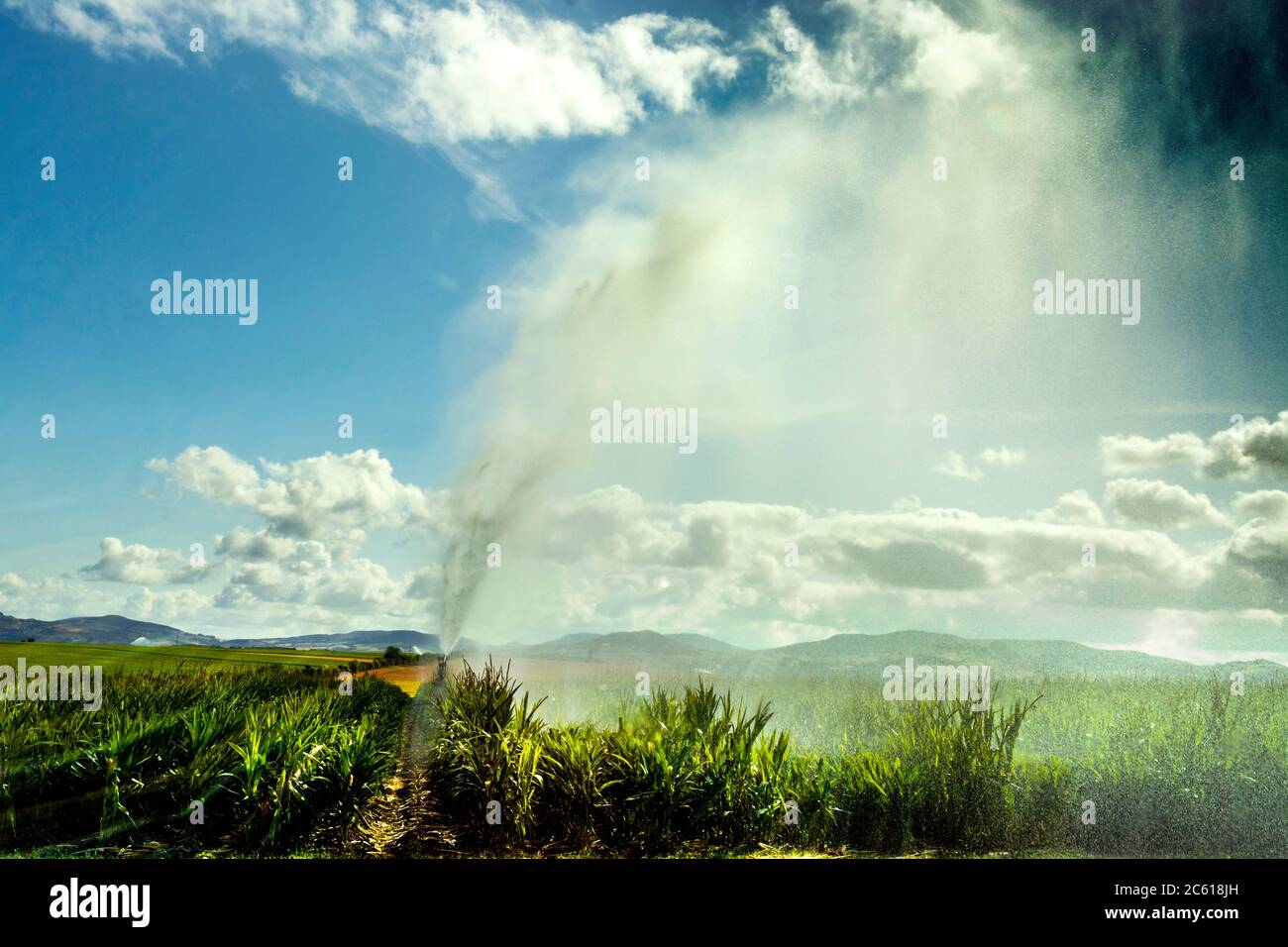 Watering system watering a field of maize, Puy de Dome depatment, Limagne plain, Auvergne Rhone Alpes,  France Stock Photo
