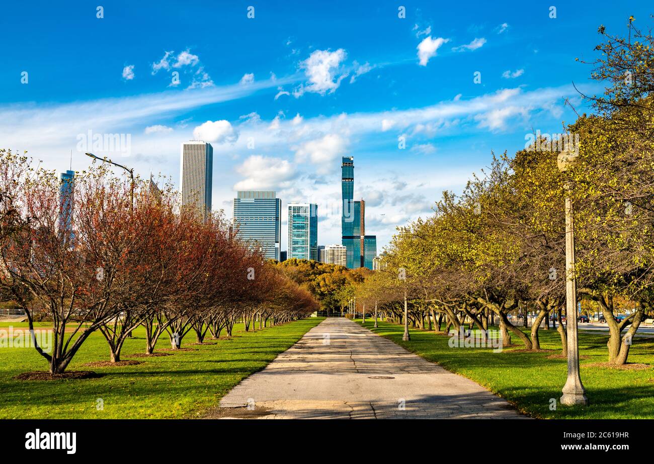 Skyline of Chicago at Grant Park in Illinois, United States Stock Photo ...