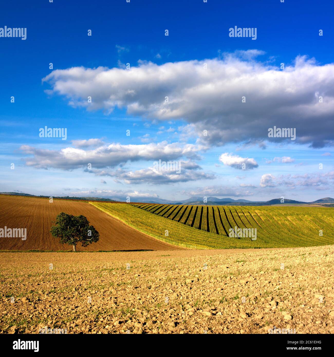 Rural landscape scene hi-res stock photography and images - Alamy