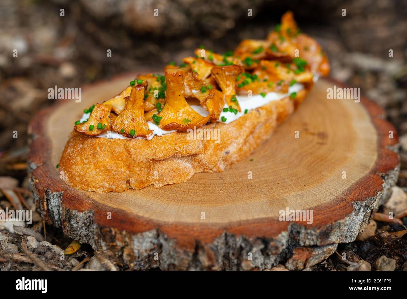 Crostini with chanterelles Stock Photo