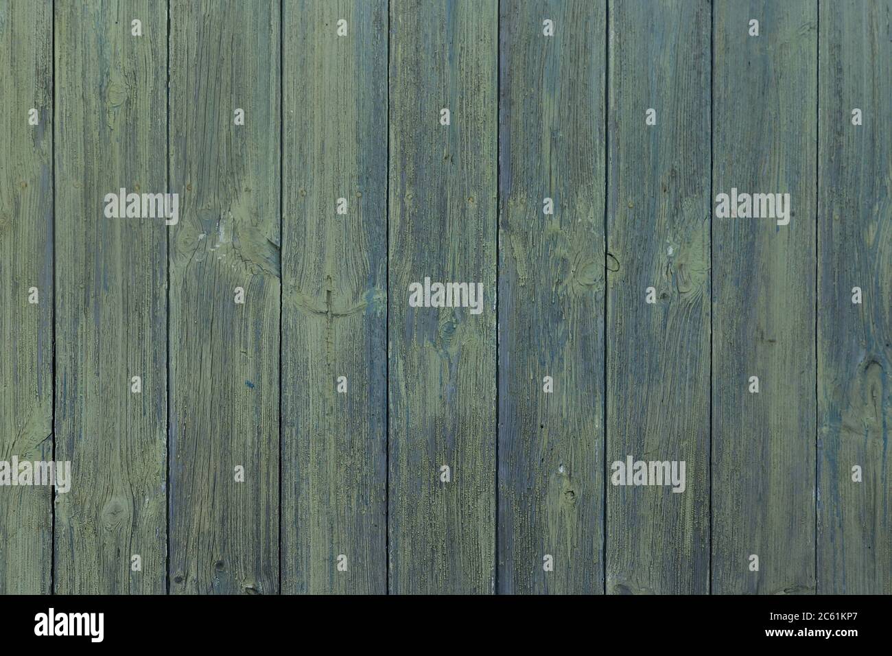 The background image with the texture image of a tree. Stock Photo