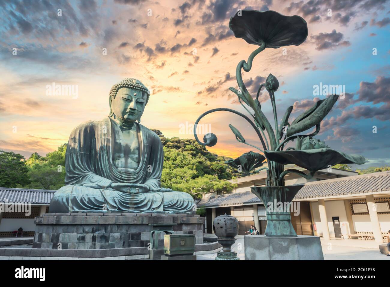 The giant buddha statue in golden hour at kamakura japan Stock Photo