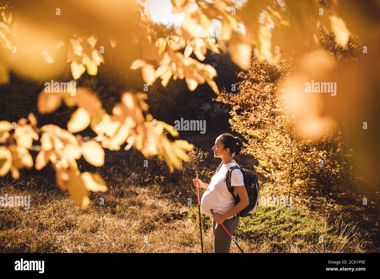 Pregnant woman nordic walking in autumn forest with backpack and trekking sticks. Healthy and active lifestyle in maternity time. Pregnancy exercises for wellness. Stock Photo