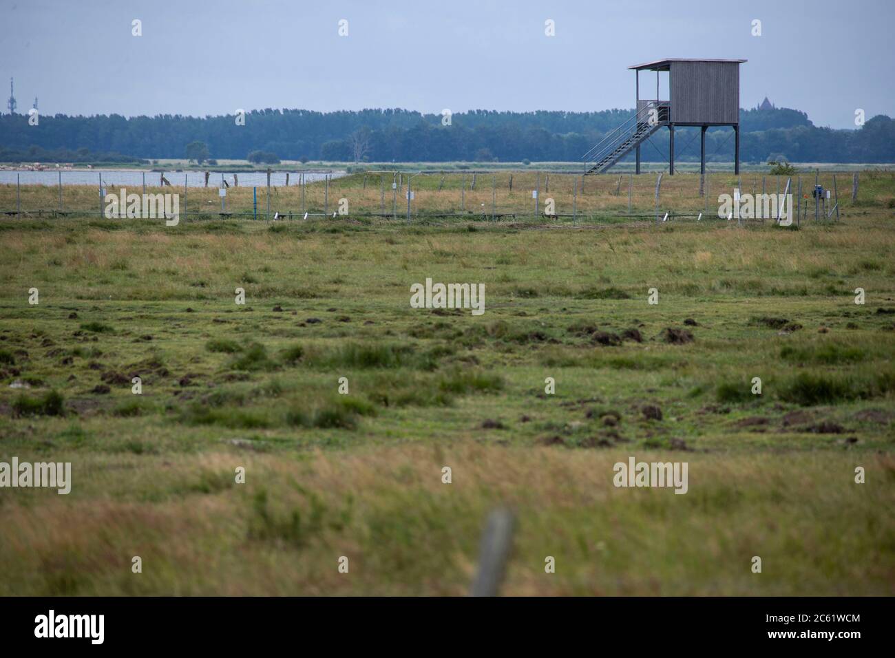 02 July 2020, Mecklenburg-Western Pomerania, Greifswald: An observation tower for visitors is located in the coastal inundation moor on the island path to the nature conservation island Koos in the Greifswald Bodden. After the renaturation, animal and plant species that were thought to be lost have returned to the island in recent years. The Succow Foundation was established in 1999 as the first non-profit nature conservation foundation in the new German states. In 2016 it took over 365 hectares on the island and in the Karrendorf meadows on the mainland. Photo: Jens Büttner/dpa-Zentralbild/ZB Stock Photo