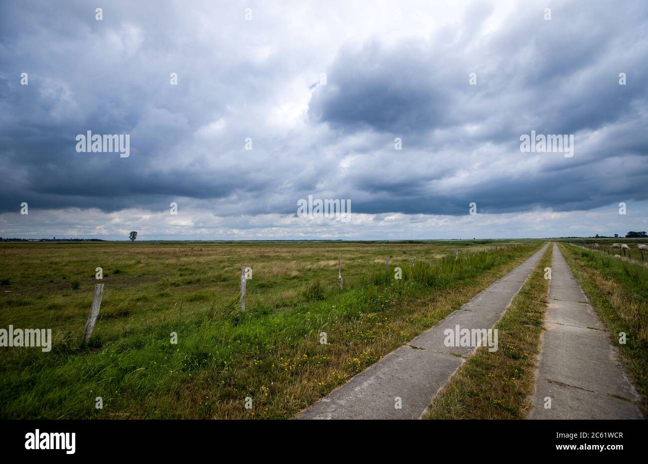 Greifswald, Germany. 02nd July, 2020. Dark rain clouds pass over the only access road to the nature reserve island Koos in the Greifswald Bodden. After the renaturation, animal and plant species that were thought to be lost have returned to the island in recent years. The Succow Foundation was established in 1999 as the first non-profit nature conservation foundation in the new German states. In 2016 it took over 365 hectares on the island and in the Karrendorf meadows on the mainland. Credit: Jens Büttner/dpa-Zentralbild/ZB/dpa/Alamy Live News Stock Photo