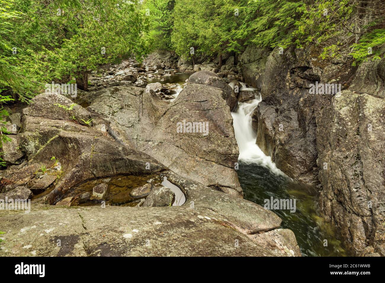 Boquet River. North Fork, in spring, Adirondack Mountains, Essex County, NY Stock Photo