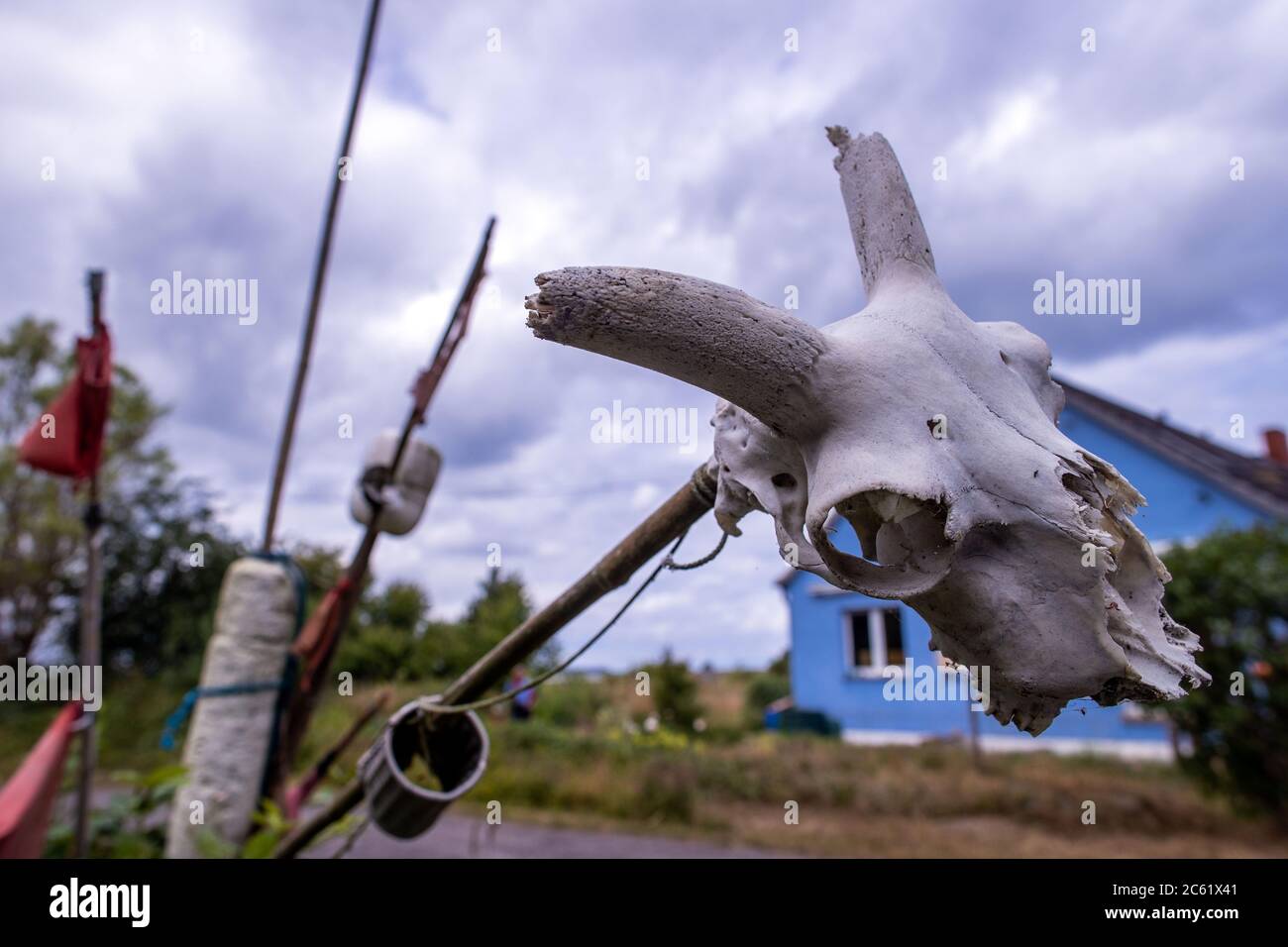 Greifswald, Germany. 02nd July, 2020. The skull of a sheep hangs on a wooden pole on the nature conservation island Koos in the Greifswald Bodden. After the renaturation, animal and plant species that were thought to be lost have returned to the island in recent years. The Succow Foundation was established in 1999 as the first non-profit nature conservation foundation in the new German states. In 2016 it took over 365 hectares on the island and in the Karrendorf meadows on the mainland. Credit: Jens Büttner/dpa-Zentralbild/ZB/dpa/Alamy Live News Stock Photo