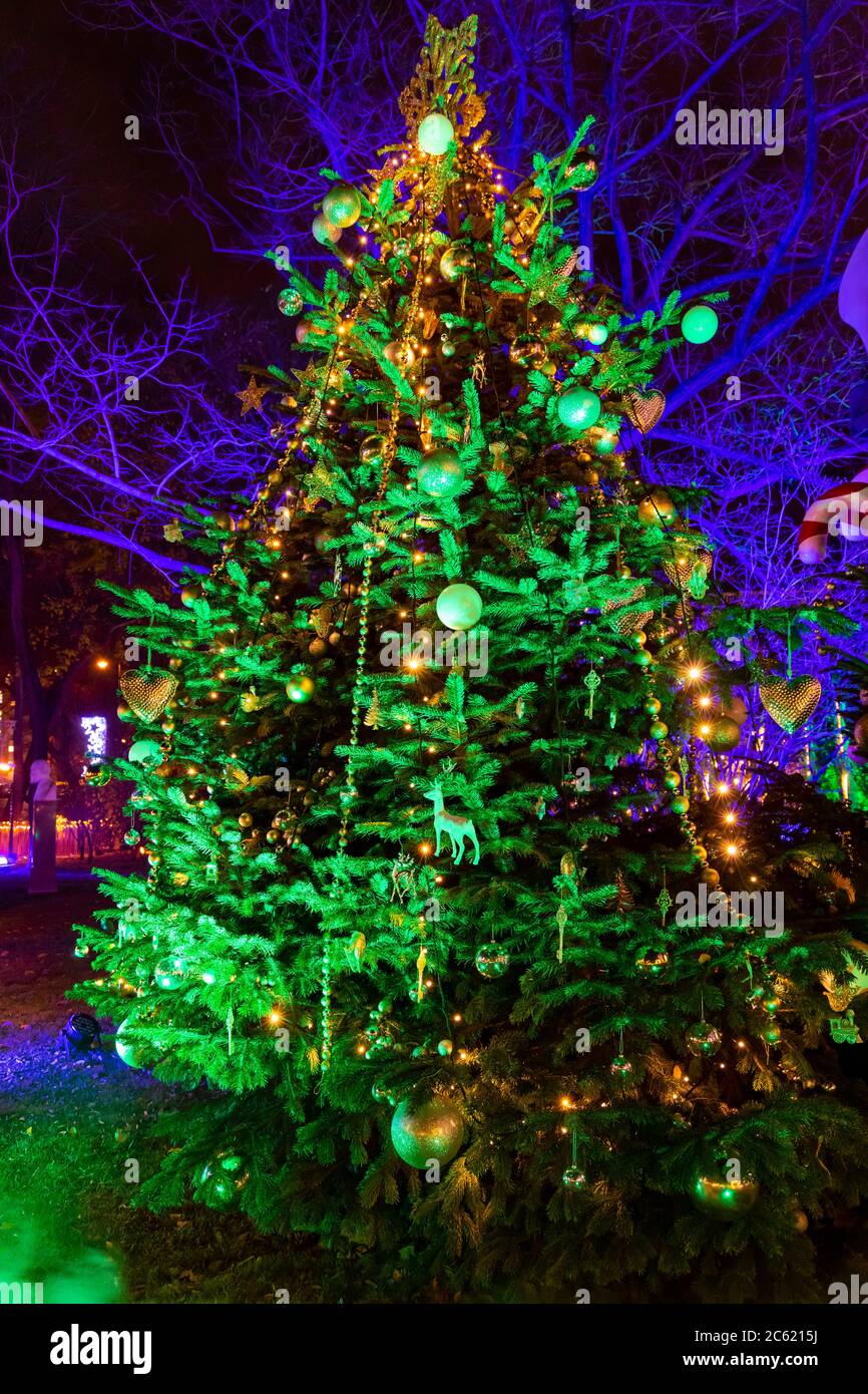 Christmas tree in Vienna, Austria Stock Photo Alamy
