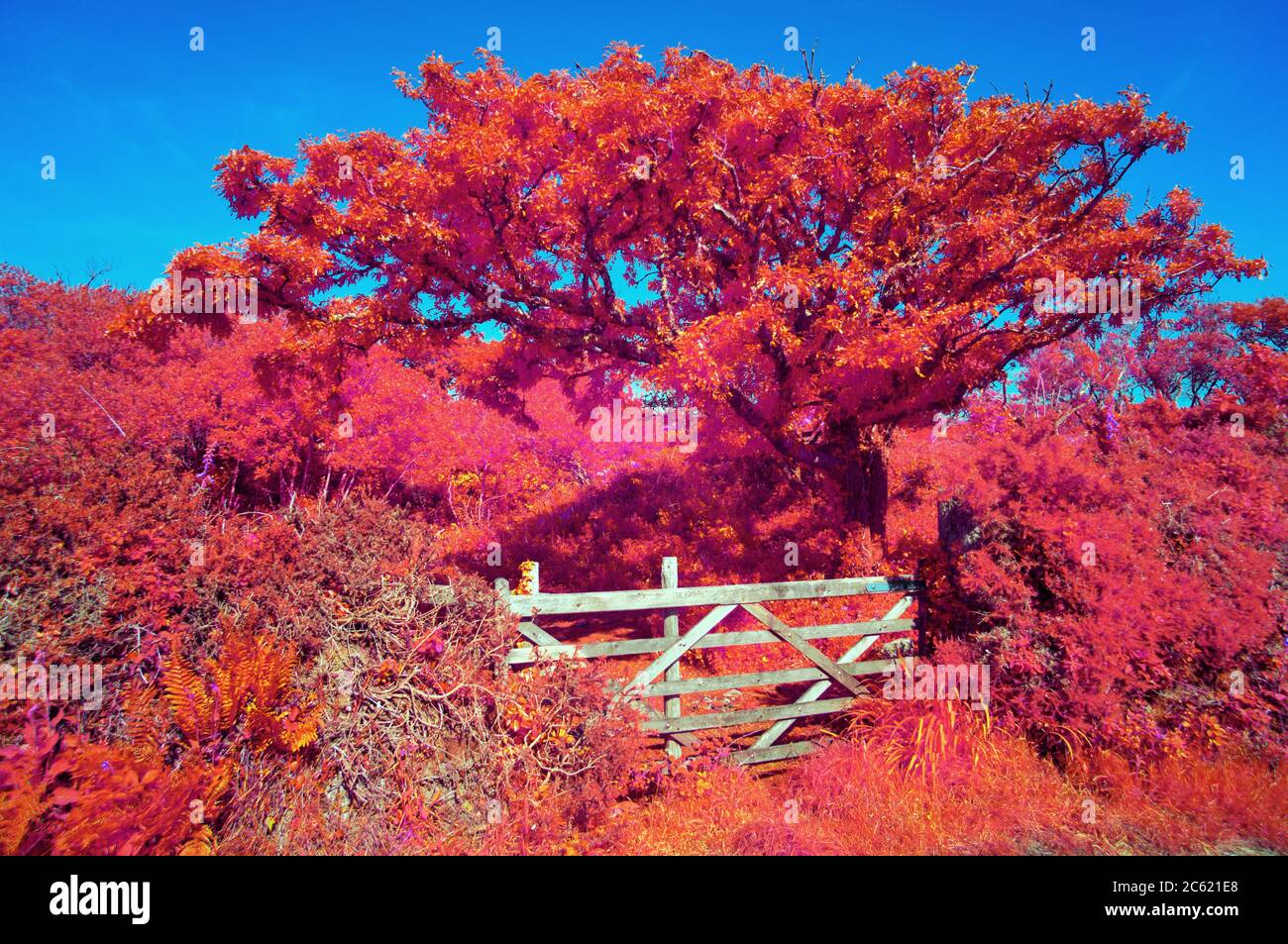 Cornish gateway hires stock photography and images Alamy