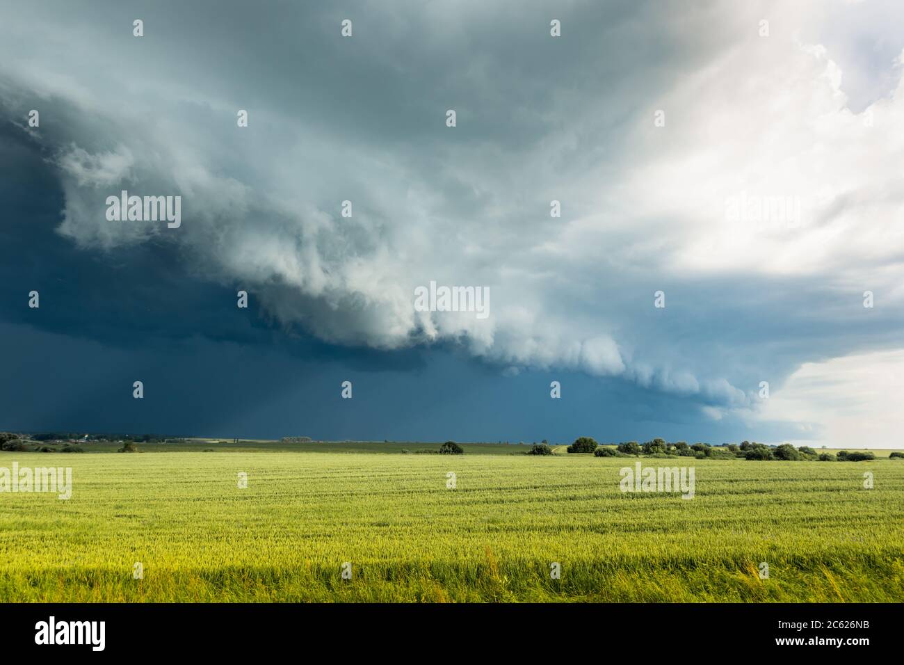 A powerful storm cloud over a field of wheat, which is illuminated by the sun. Hurricane. Thunderstorm. Before the storm Stock Photo