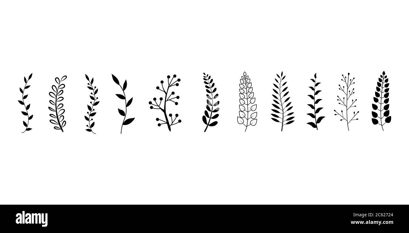 Vintage Set Of Hand Drawn Tree Branches With Leaves And Flowers On White Background Stock Vector Image Art Alamy Vintage Set Of Hand Drawn Tree Branches With Leaves And Flowers On White Background Stock Vector Image Art Alamy