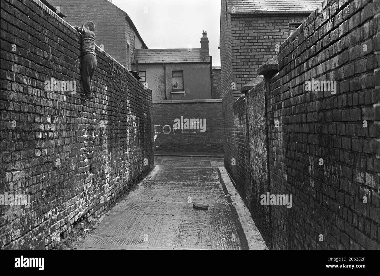 Back to back Victorian slum housing inner city Belfast 1970s UK. A young boy climbs down a high brick backyard garden wall, into a slums back alley 1970 Northern Ireland HOMER SYKES Stock Photo