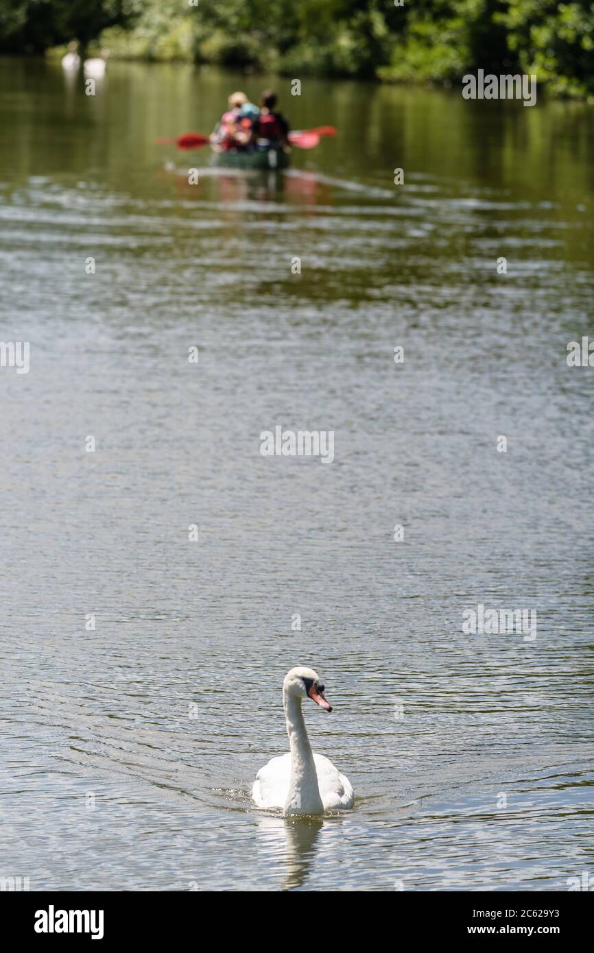Family Rowing trip Stock Photo - Alamy