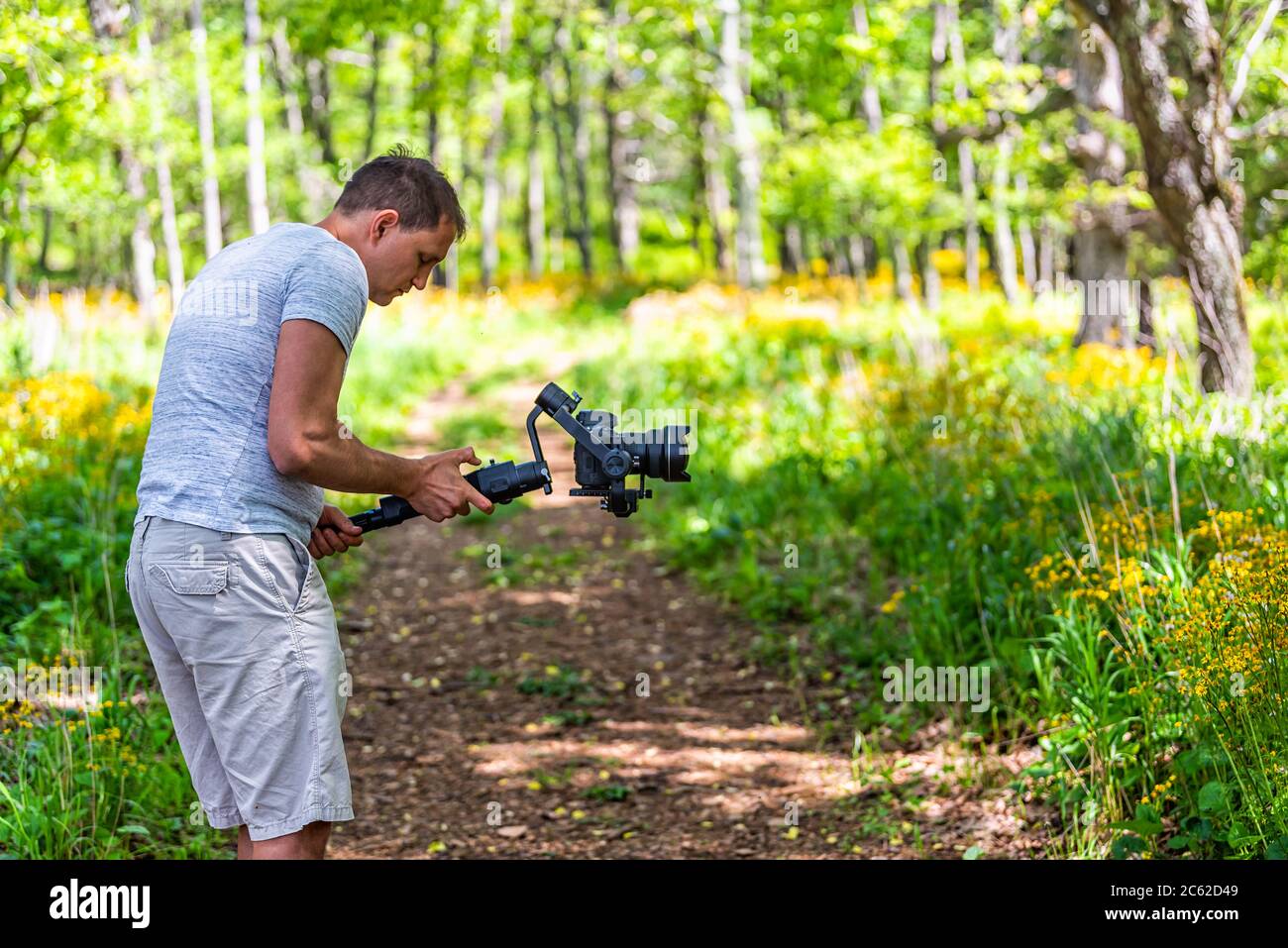 Story of the Forest trail with photographer man filiming holding gimbal in Shenandoah Blue Ridge appalachian mountains on skyline drive yellow wildflo Stock Photo