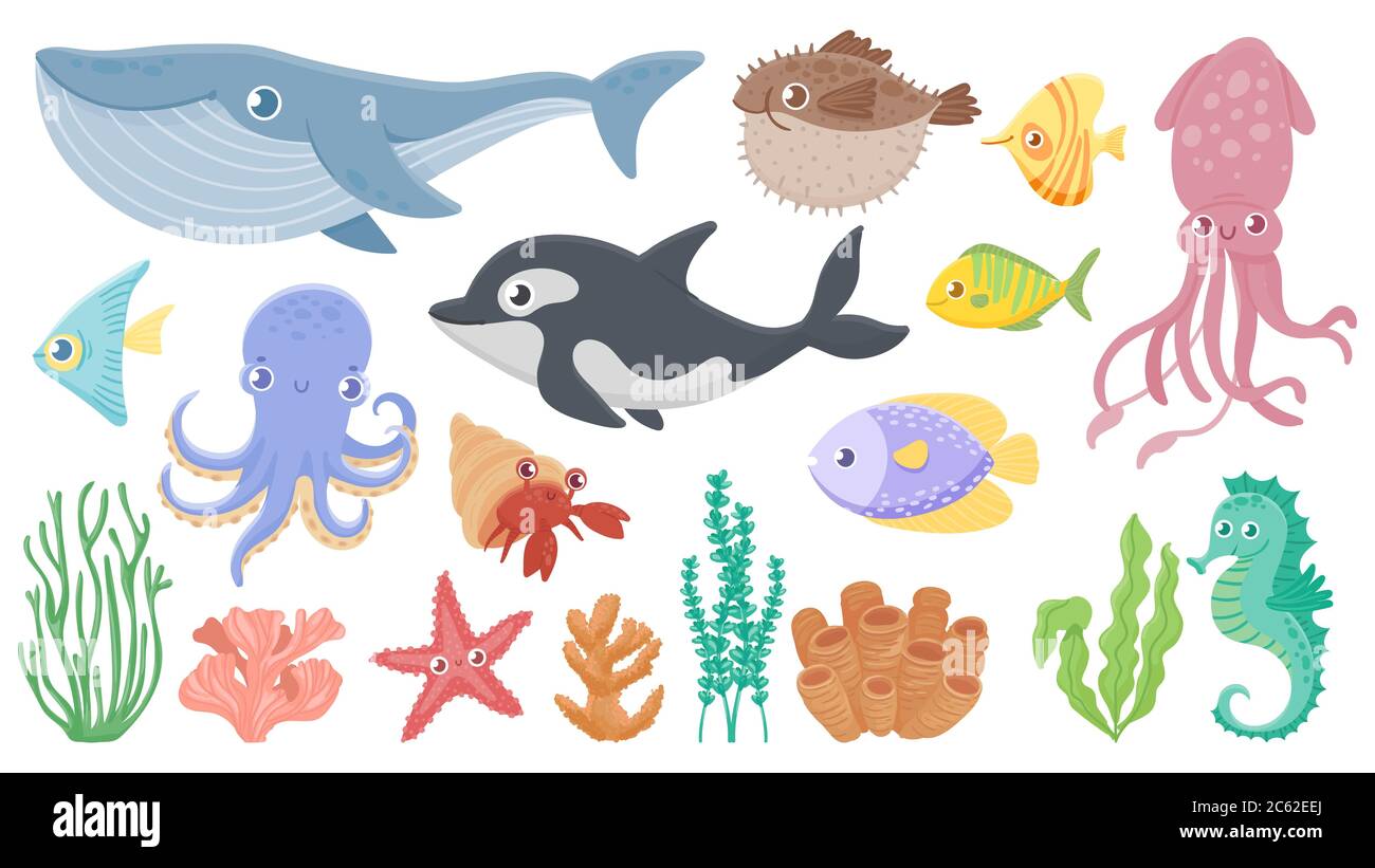 Cartoon ocean animals. Funny blue whale, cute hedgehog fish and orca.  Octopus, squid and seahorse. Underwater sea life vector illustration set  Stock Vector Image & Art - Alamy