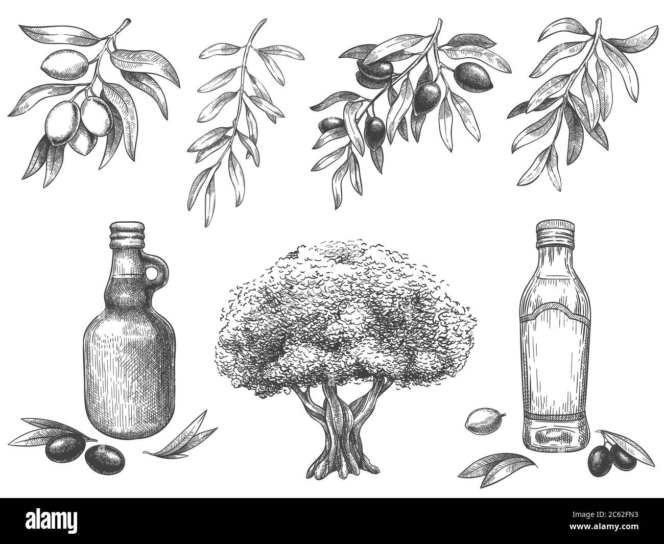 Engravied olive oil. Hand drawn olives tree, sketch oil bottle and olive branches with leaves vector illustration set Stock Vector