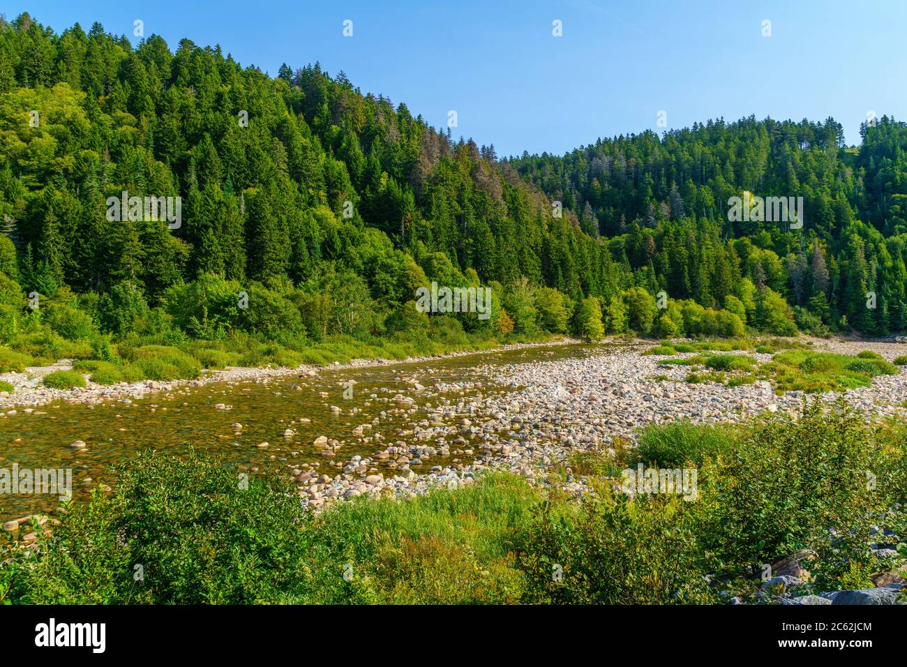 View of the Big Salmon River, in Fundy Trail Parkway park, New Brunswick, Canada Stock Photo