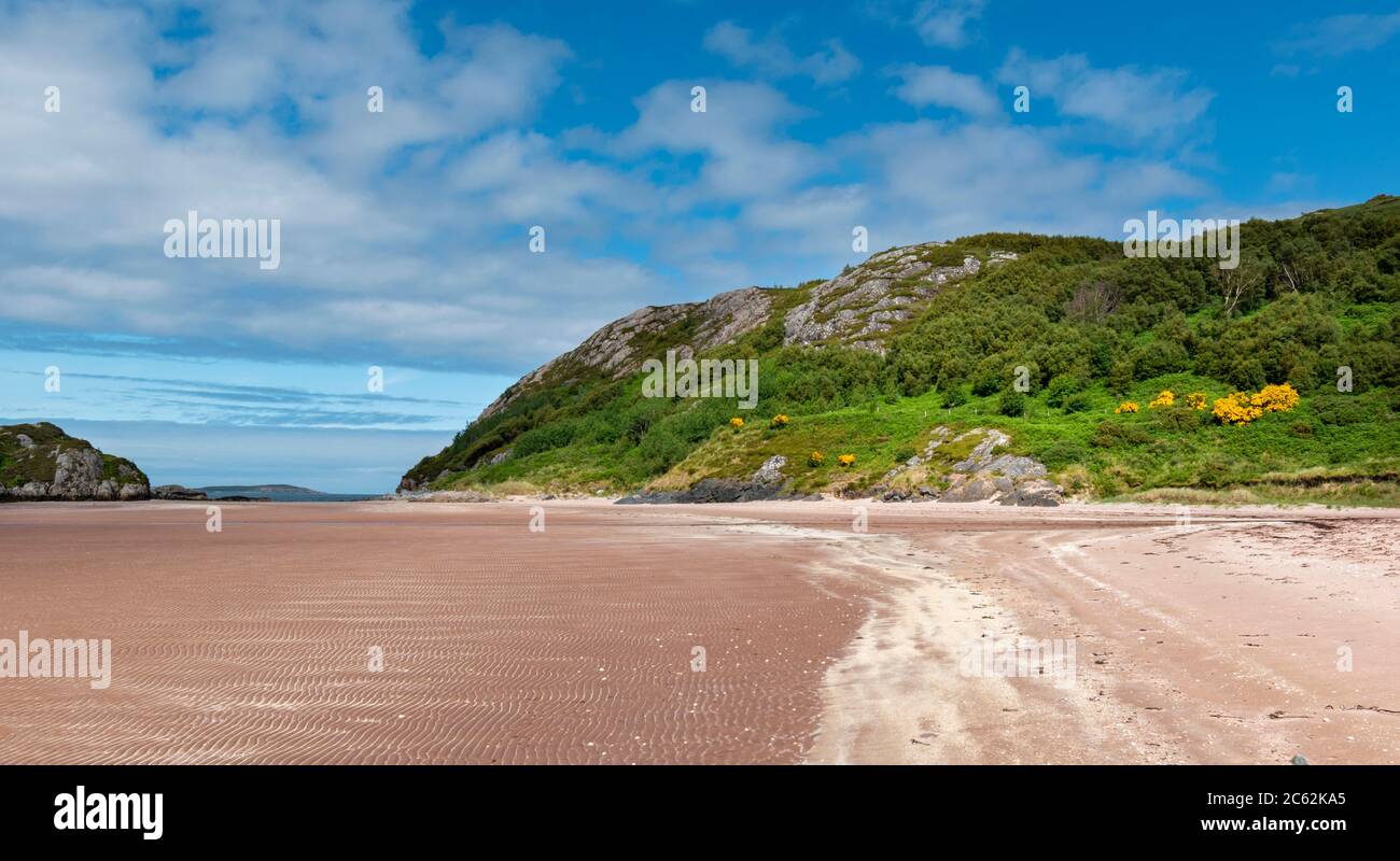 GRUINARD BAY AND BEACH ROSS AND CROMARTY WEST COAST SCOTLAND EARLY SUMMER THE BEACH AT LOW TIDE YELLOW BROOM FLOWERS ON THE HILLSIDE Stock Photo