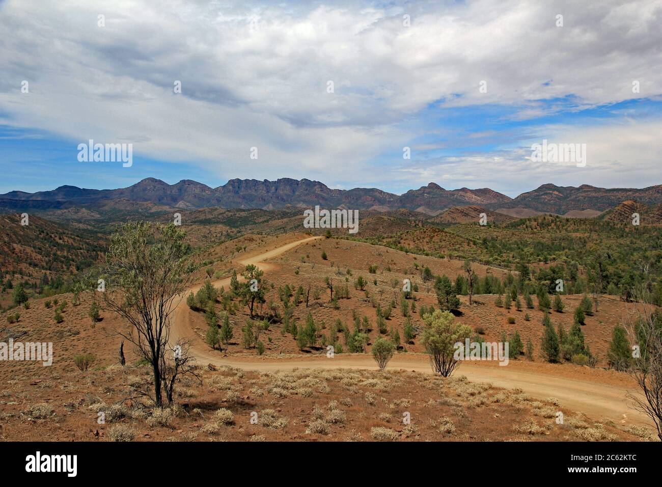 Gravel track road winding off in to the distance in the Flinders Ranges, South Australia Stock Photo