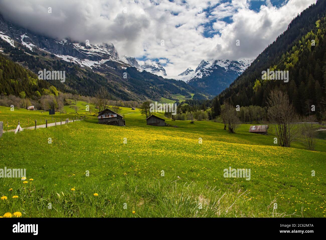 Classic spring view of Swiss Alpine landscape showing colourful wild flower meadows, farm buildings, and dramatic mountain scenery of the Sustenpass a Stock Photo