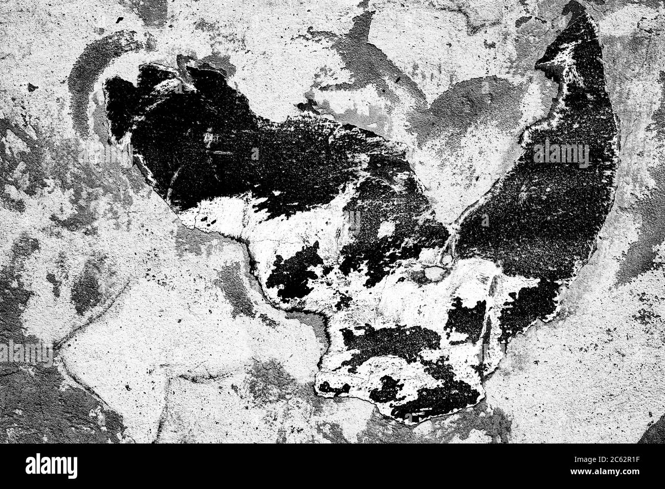 Texture, wall, concrete, it can be used as a background. Wall fragment