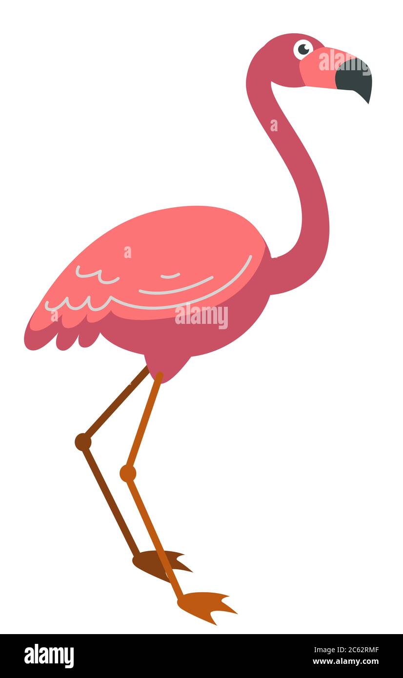 Pink flamingo tropical bird on long leg vector Stock Vector