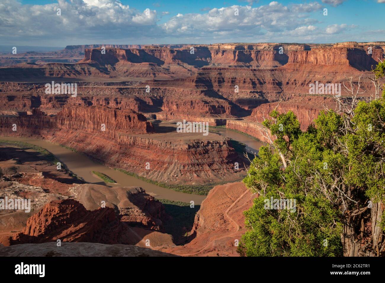 The Colorado River flows around the bend in Dead Horse Point State Park, Utah Stock Photo