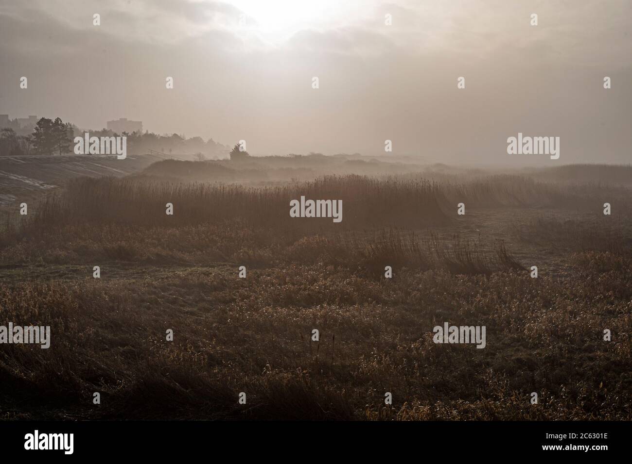 Beach of Sankt Peter-Ording, Germany Stock Photo