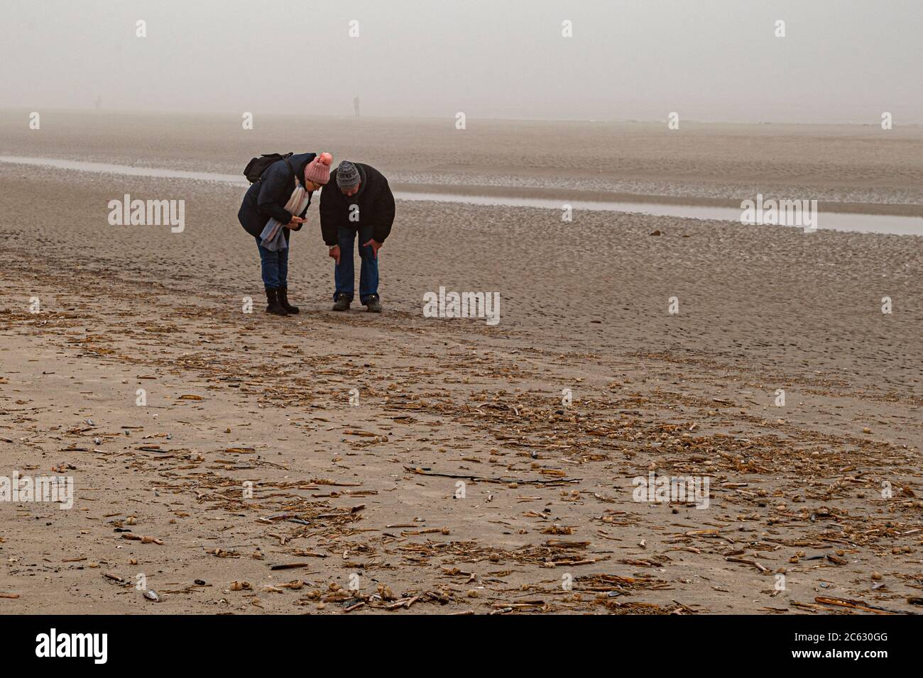 Seaweed collectors at the Beach of Sankt Peter-Ording, Germany Stock Photo