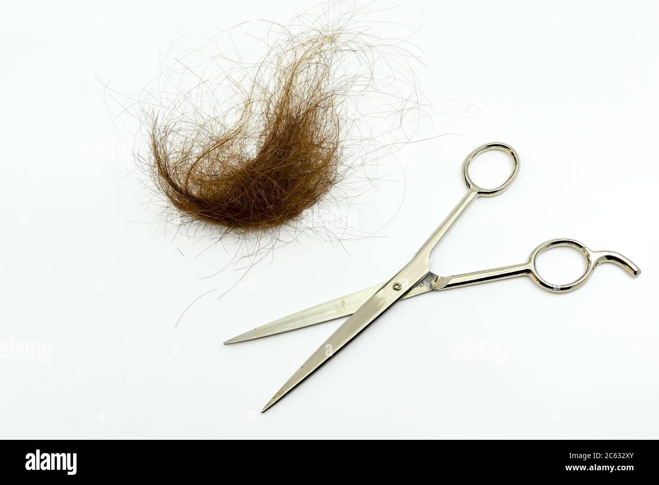 Cutting of brown hair with a pair of scissors isolated on a white background. No people. Copy space. Stock Photo