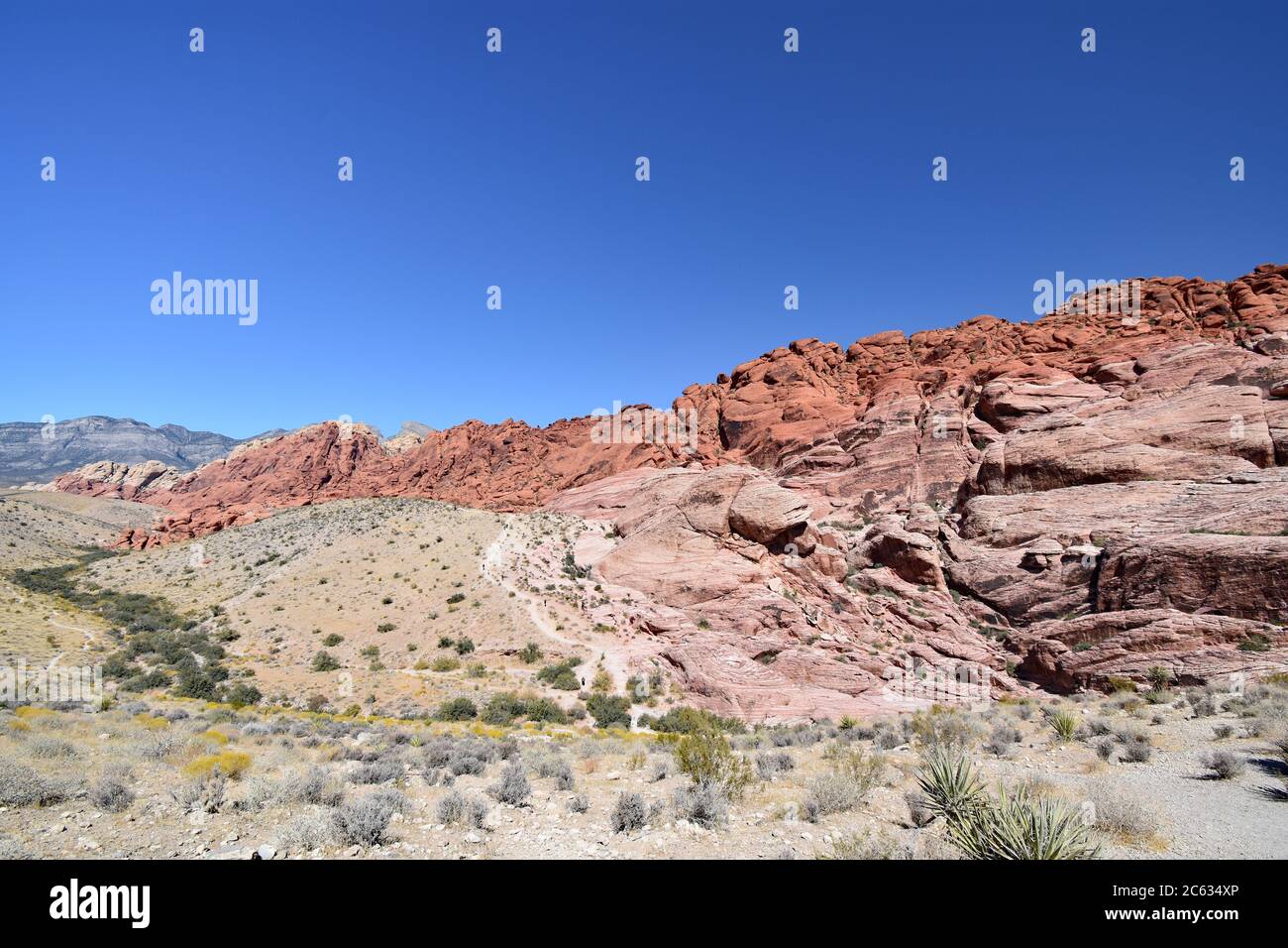 The red rock formation of the Calico Hills in Red Rock National Conservation Area.  Desert foliage in green and yellow are below the hills. Stock Photo