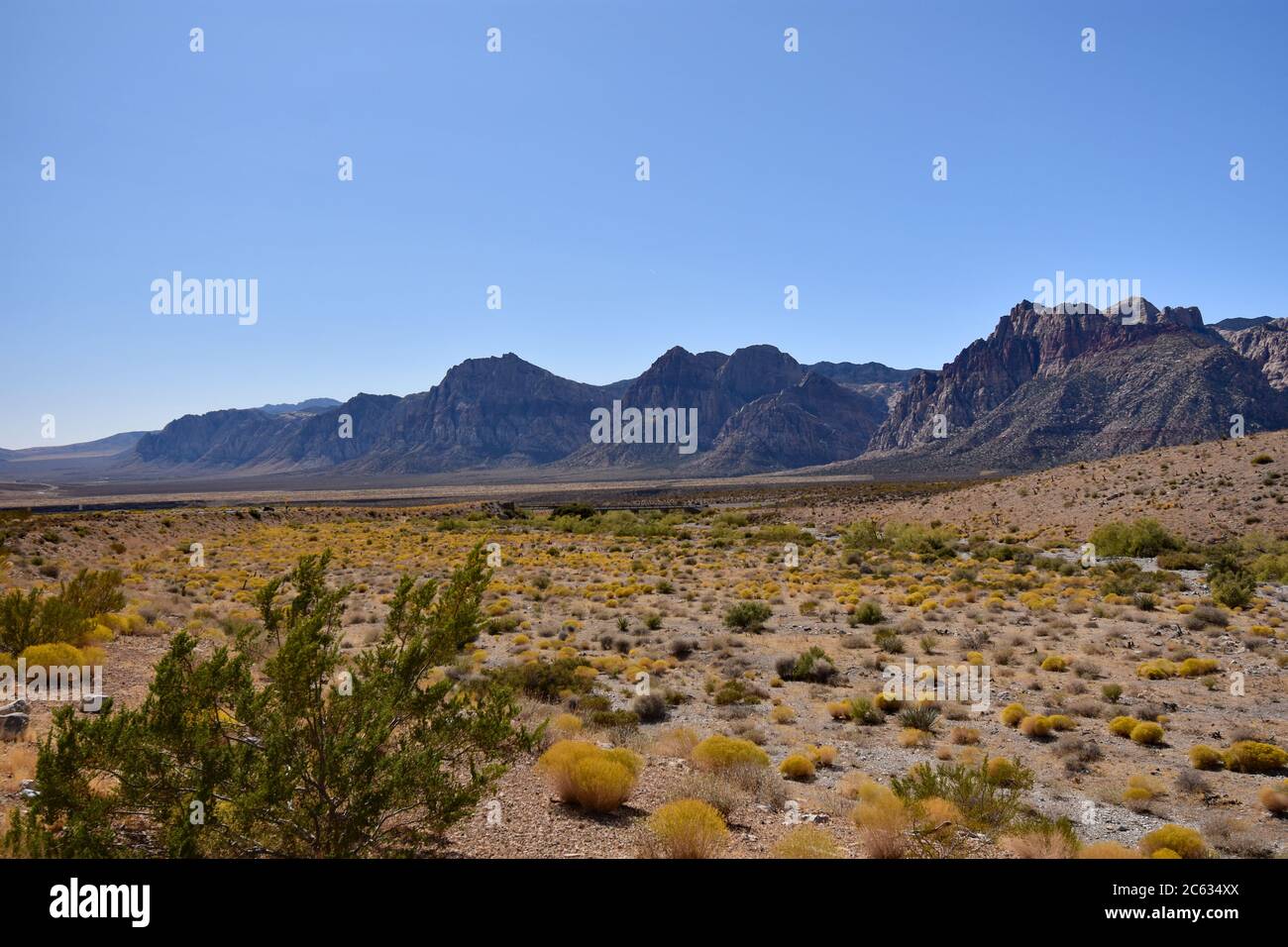 Red Rock Canyon seen from the high point overlook on a clear day with blue sky. Desert foliage in green and yellow and mountains rise in the distance Stock Photo
