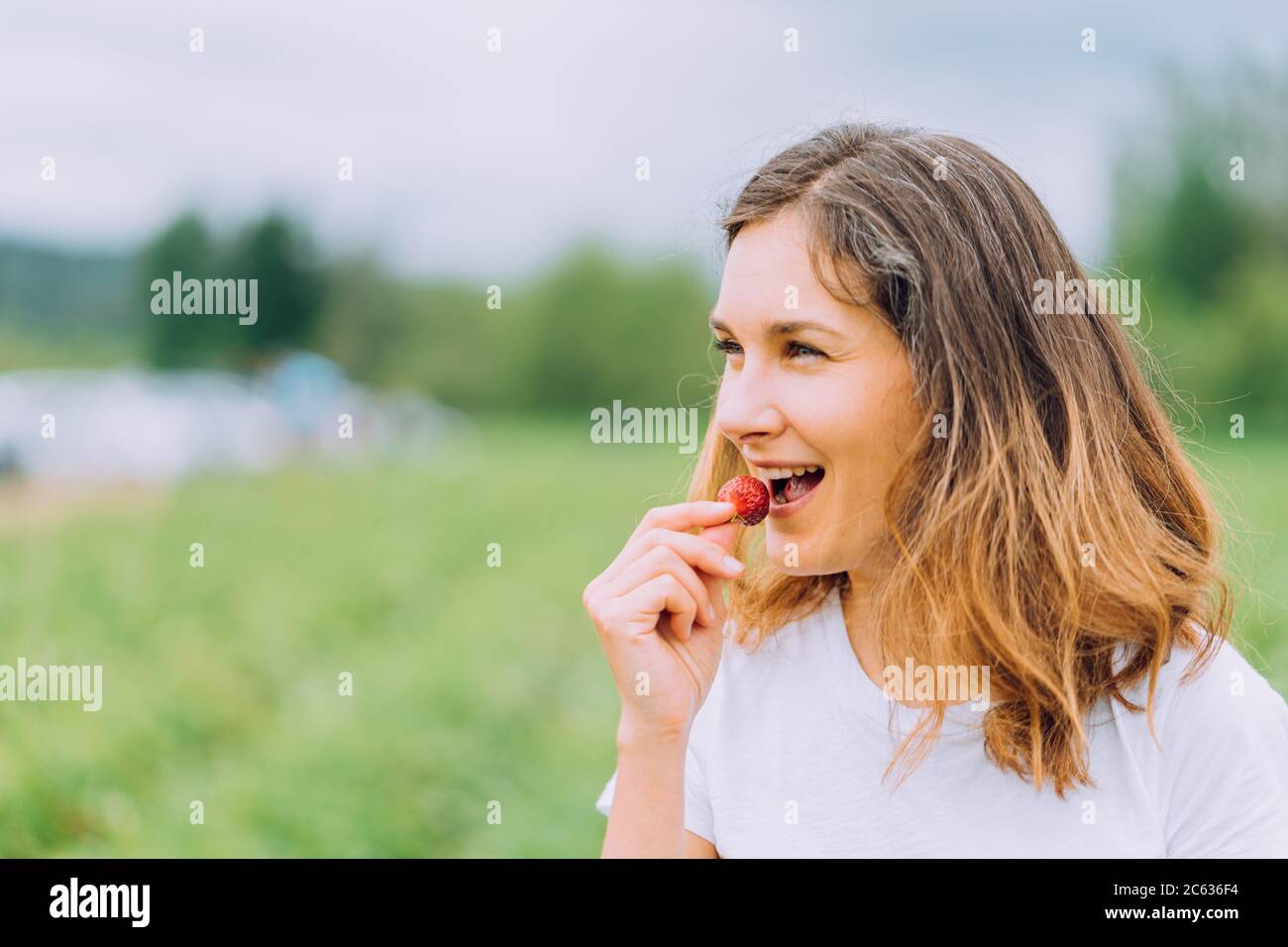 Happy farmer tasting red ripe strawberry at u-pick farm in washington Stock Photo