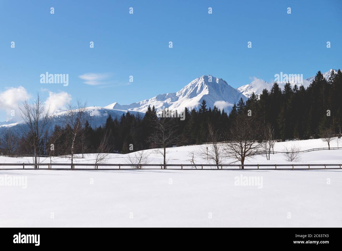 Sunlit snow mountain panorama with evergreen forest and leafless trees along fence in winter landscape, Seefeld, Tirol, Austria Stock Photo
