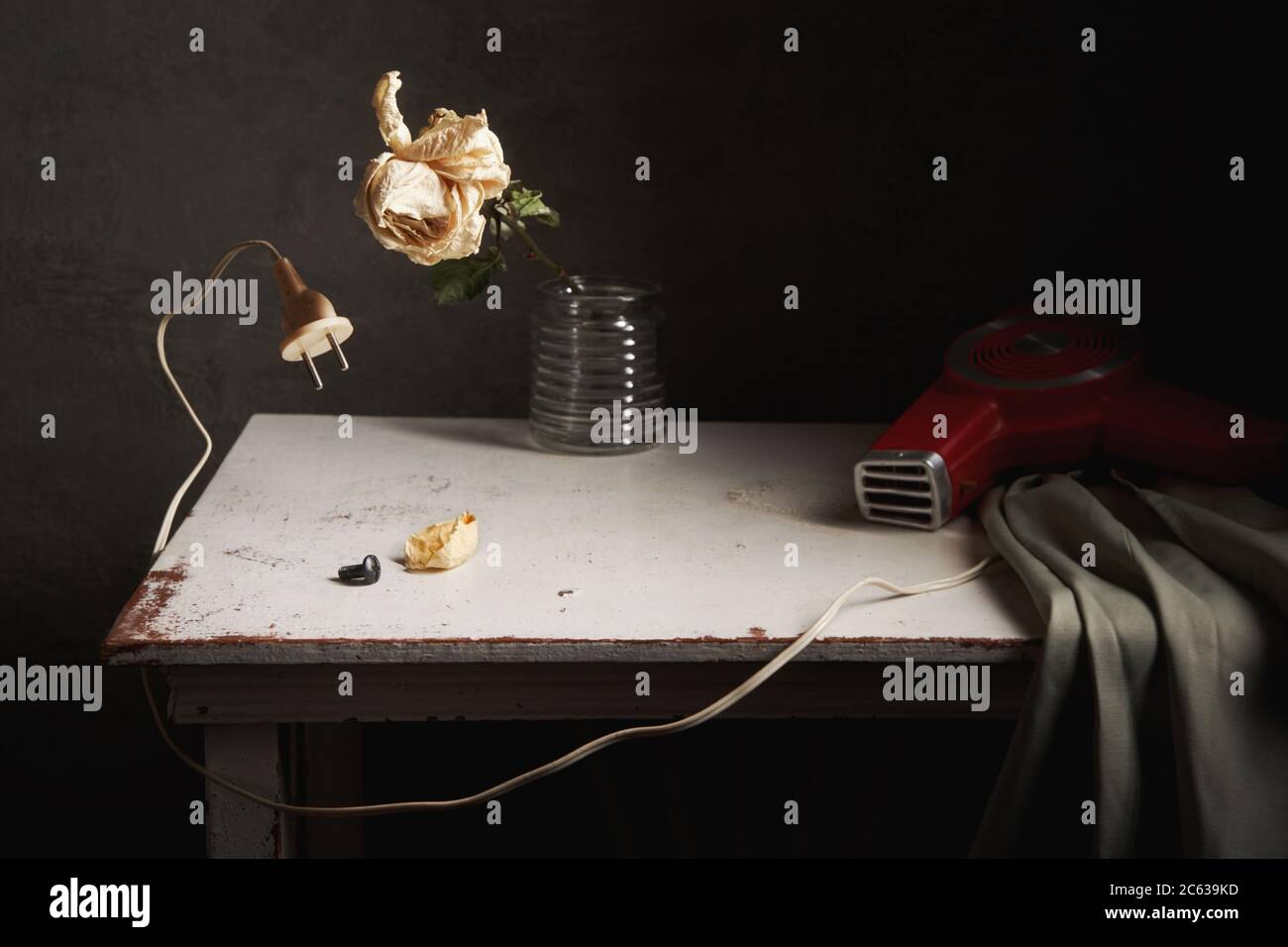 Still life with dried rose and a vintage hairdryer Stock Photo - Alamy