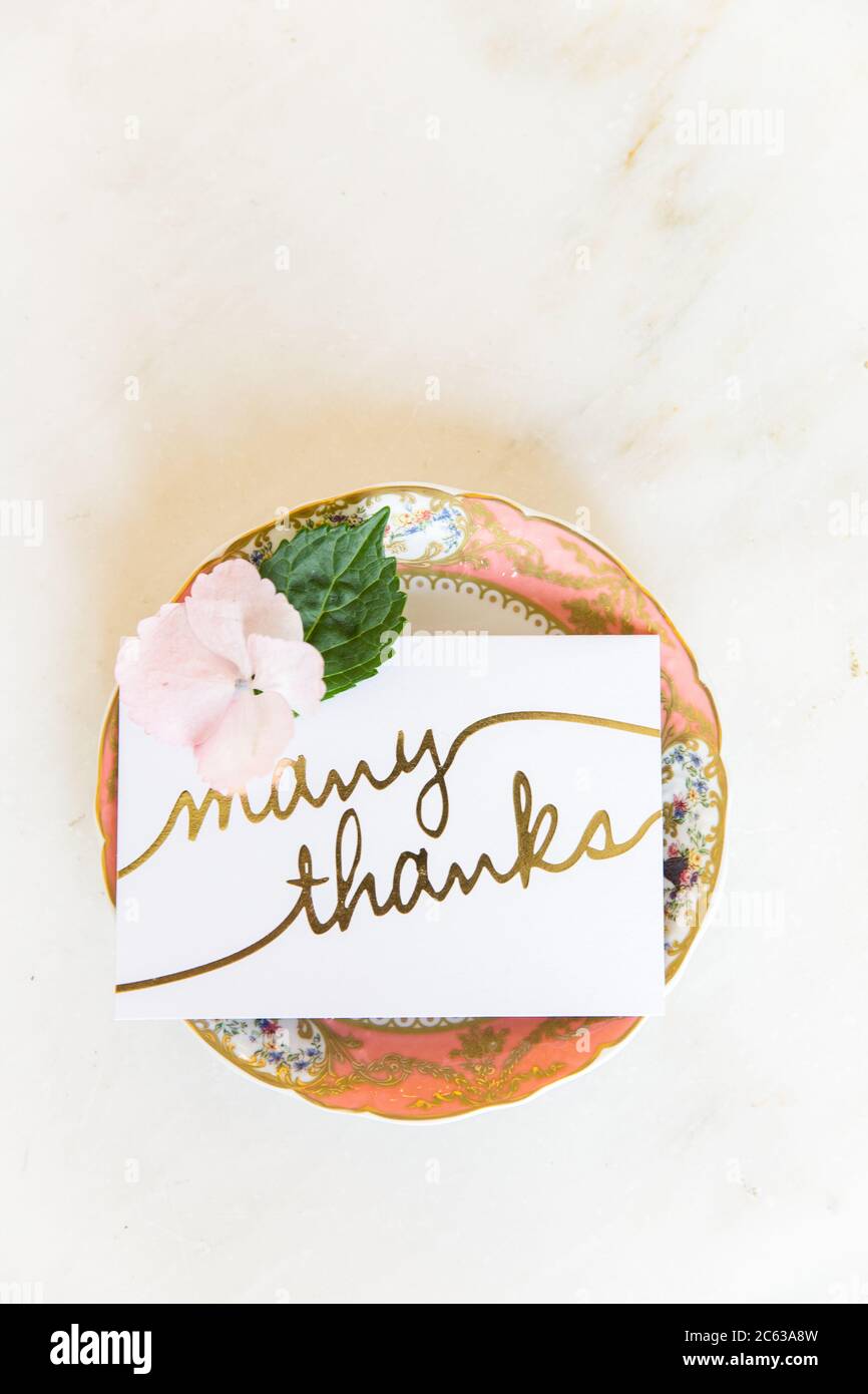 Colorful plate holding a "many thanks" note / card Stock Photo