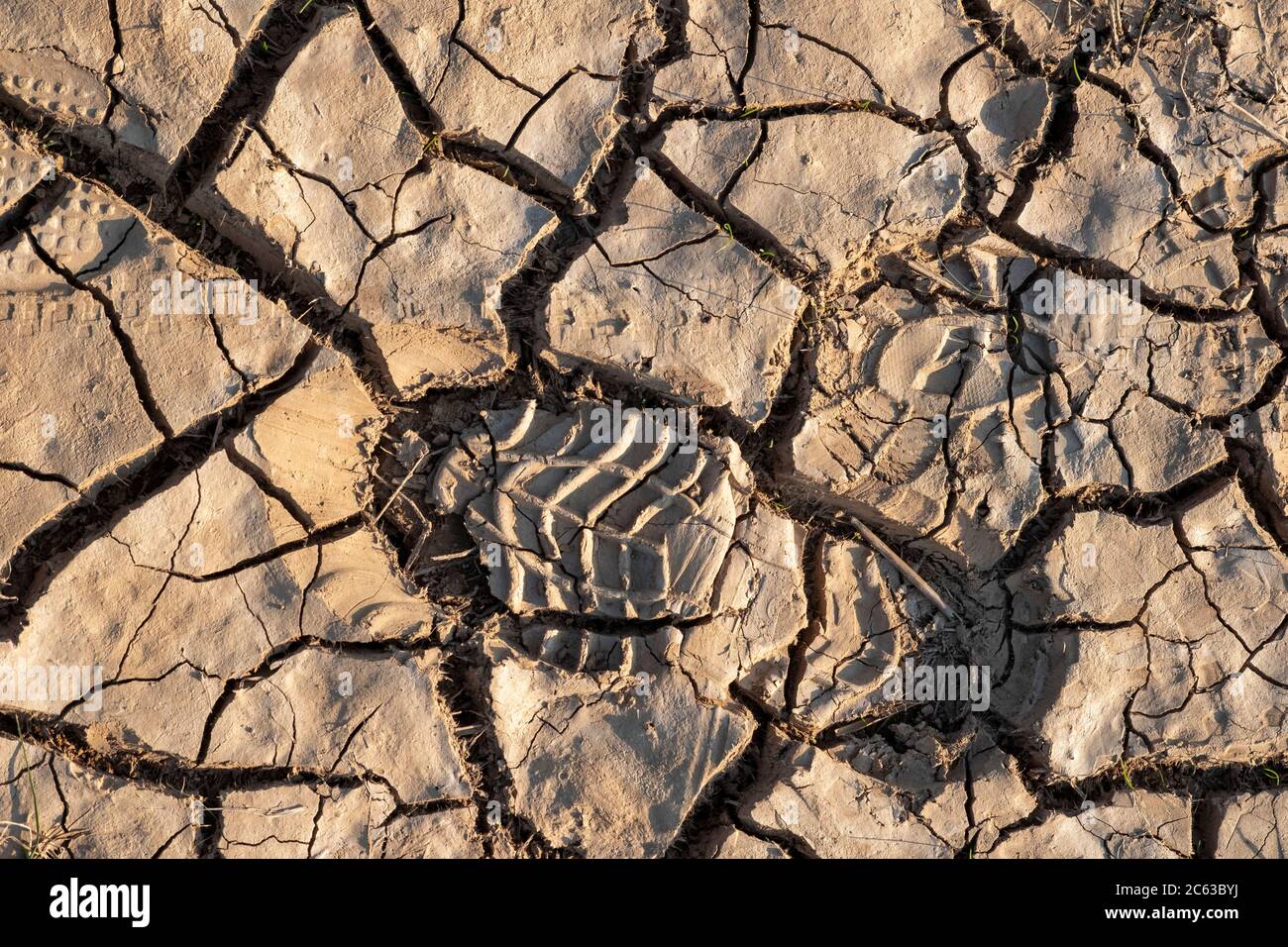 Footprints, muddy ground Stock Photo