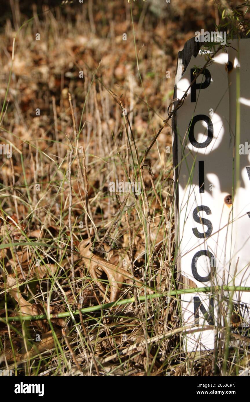 Seasonal autumn grass with sign reading 'poison' Stock Photo