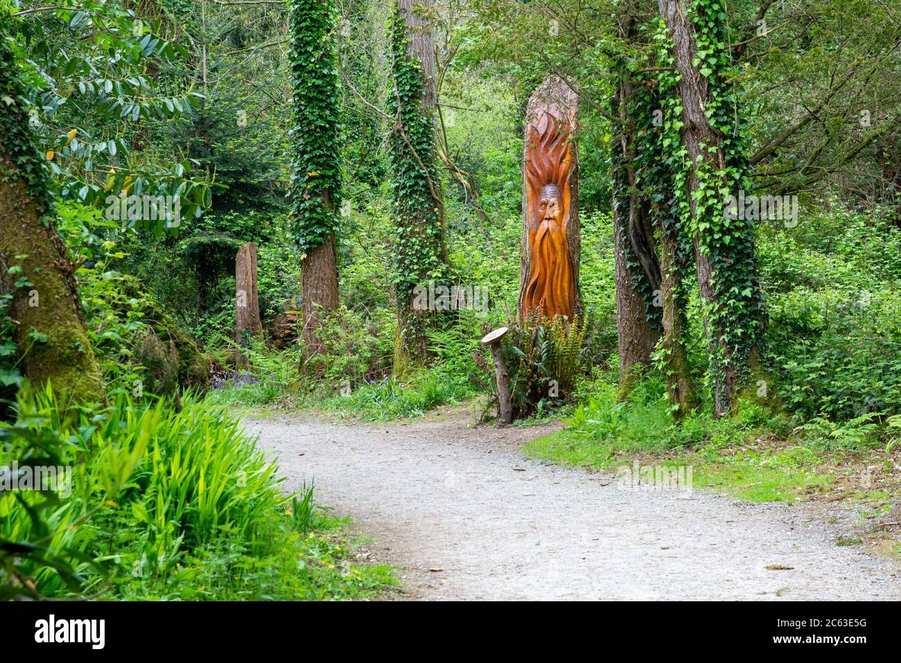 Wooden sculpture along a woodland walk at Wells House and Gardens in County Wexford, Ireland Stock Photo