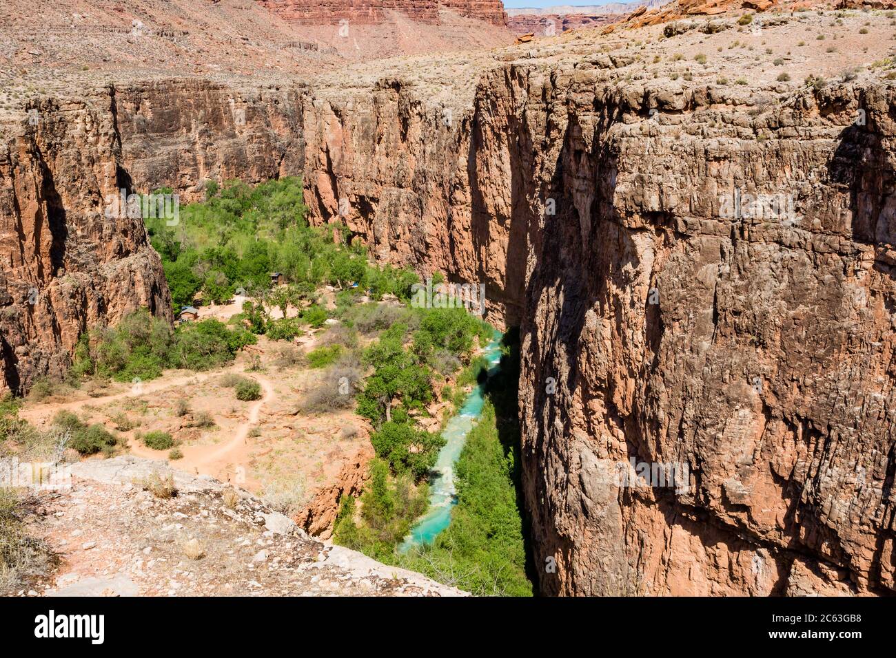 Havasu Creek flows through camping area which starts in the trees where the creek disappears from view. Campground owned by Havasupai Indian Tribe, AZ. Stock Photo