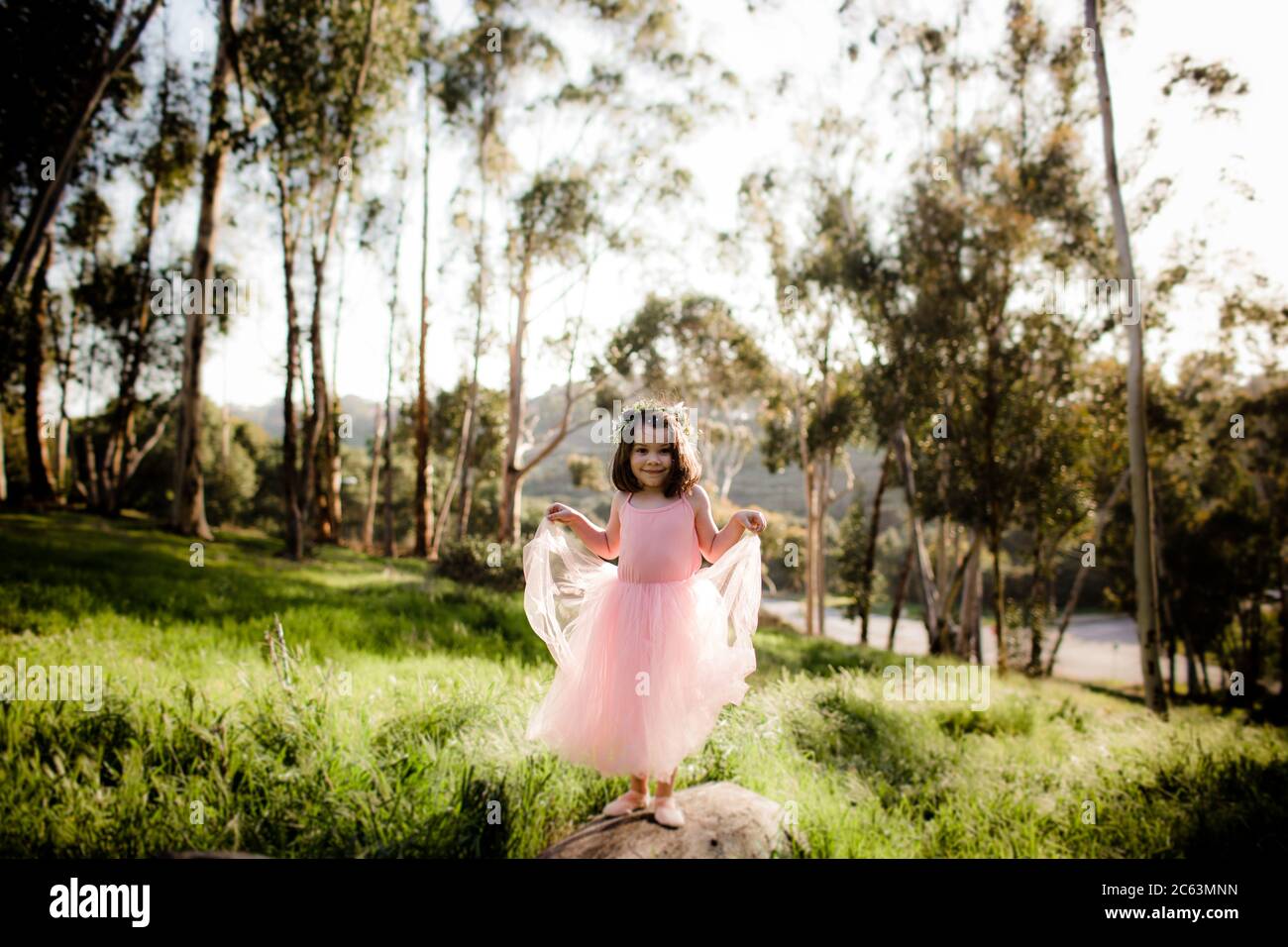 Young girl in tutu and flower crown posing in field Stock Photo