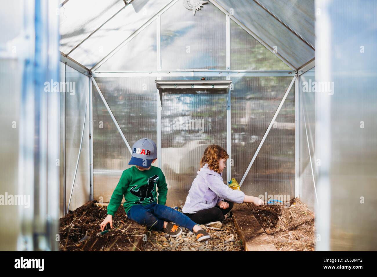 Two kids clearing out plants from backyard greenhouse in spring Stock Photo