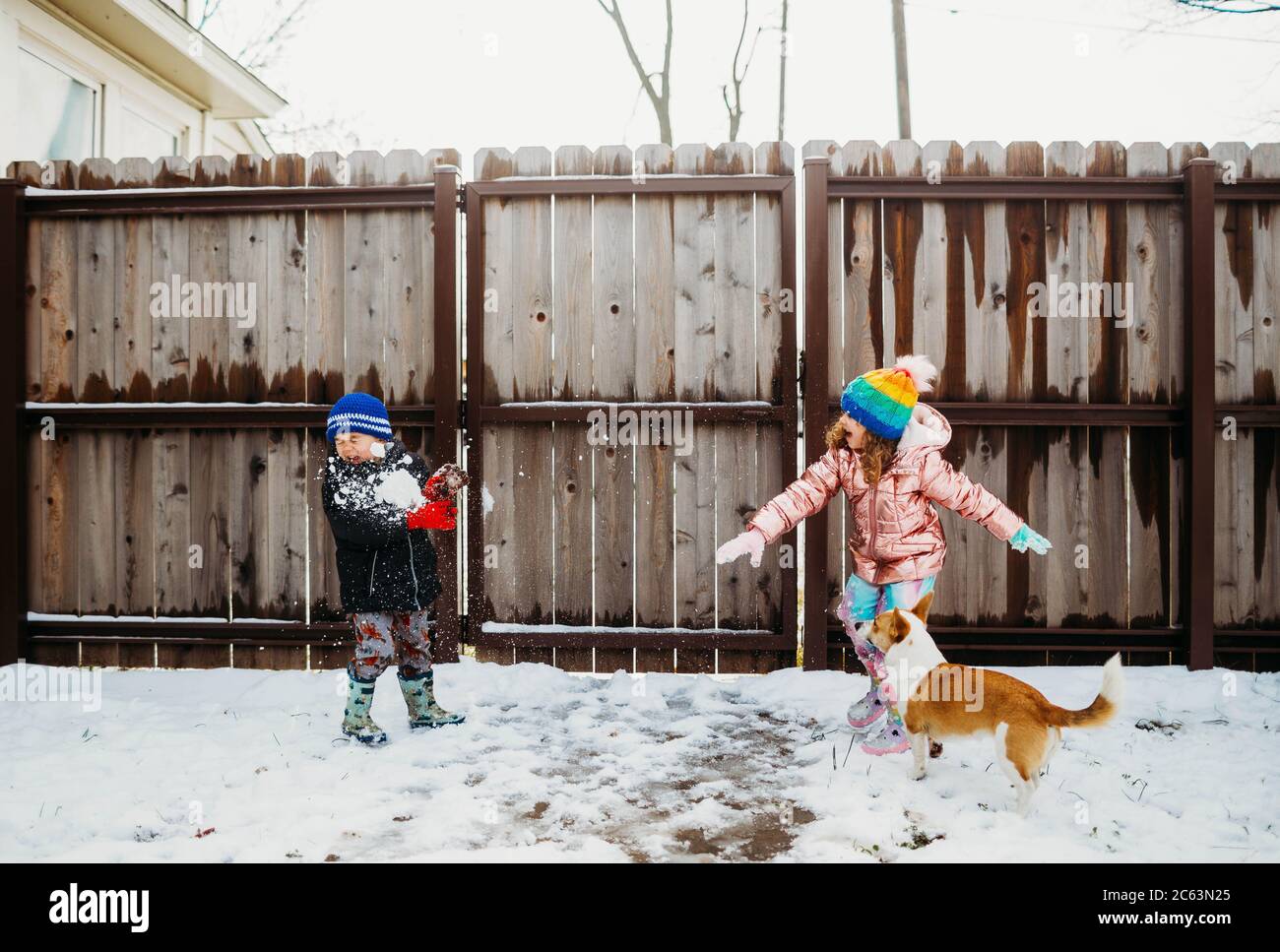 Child throwing ball to dog hires stock photography and images Alamy