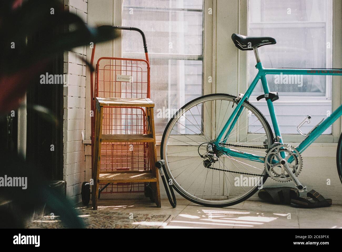 i rode my bicycle by your window last night