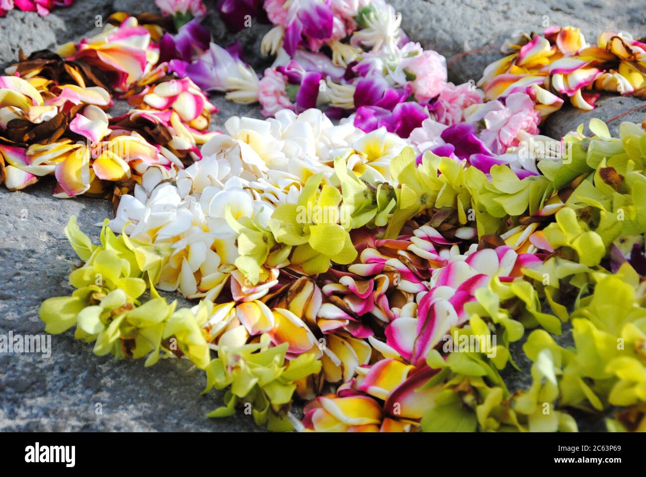 Hawaiian garland hires stock photography and images Alamy