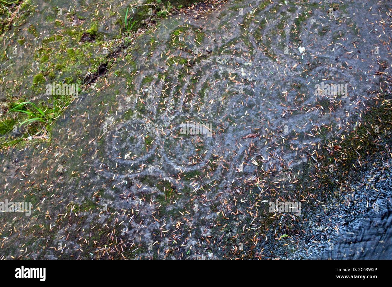 Ancient prehistoric petroglyph carved by indigenous First Nations people in the Great Bear Rainforest region, Bella Coola, British Columbia, Canada. Stock Photo